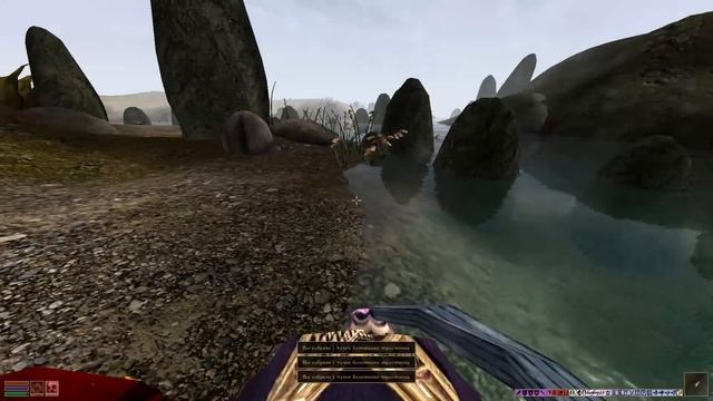 BTW | Morrowind | Тайники