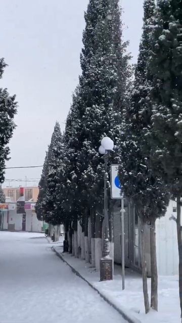 Судак сегодня. Кипарисовую Аллею заметает снегом смотреть онлайн