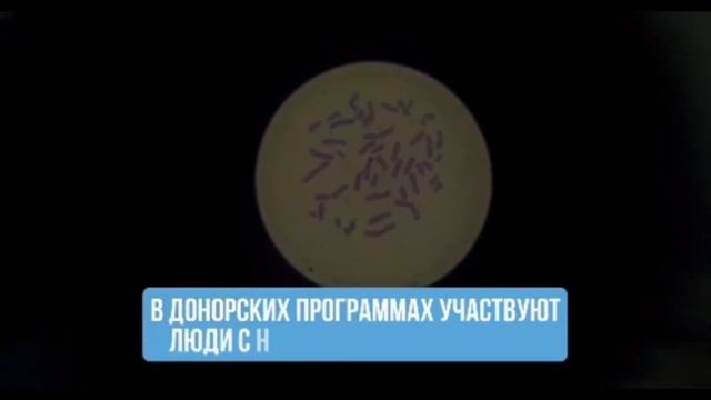 ЭКО Центр Доктора Тарарака Тараз. Медицинский Центр 