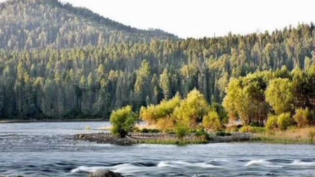 Катунь и Бий смотреть онлайн