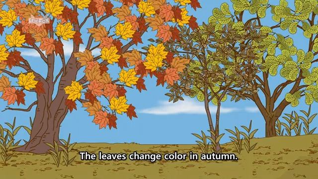 01. Four Seasons of the Year Spring, Summer, Autumn, Winter Stories for Kids смотреть онлайн