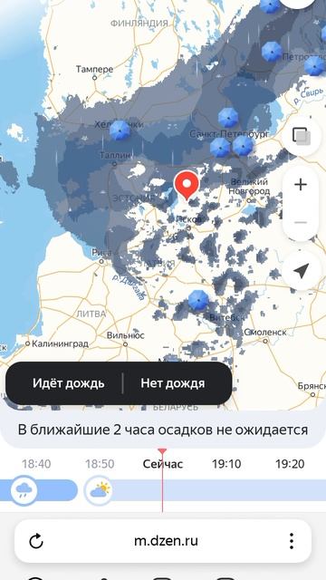 Прогноз погоды Олень 😂😂😂. Как? смотреть онлайн