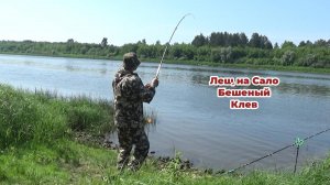 Короткие Поводки на Сильном Течение! Лещ Любит эту Прикормку! Рыбалка на Донки на Оке 2025!