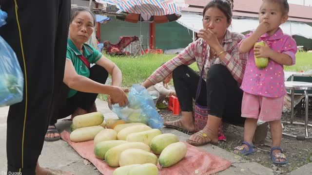 Single mother and her children harvest giant melons to sell at the market - take care of piglets. смотреть онлайн