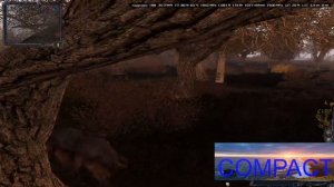 S.T.A.L.K.E.R.: ЧИСТОЕ НЕБО - ПОВЕЛИТЕЛЬ ЗОНЫ ГРУППИРОВКИ ПРО