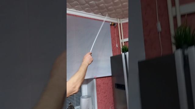 экран проектора с алисой