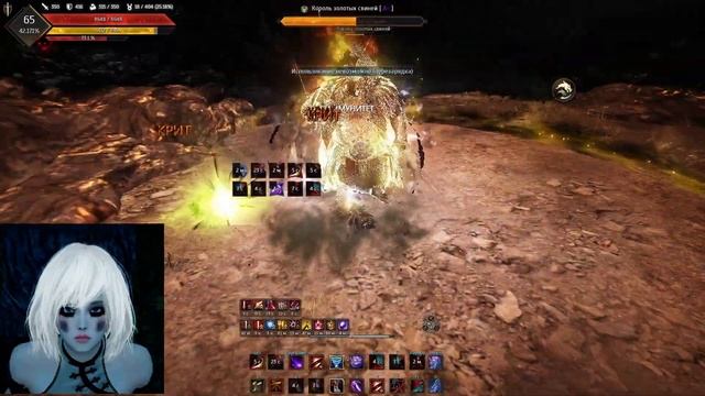 Black Desert куноичи король золотых свиней X сложность смотреть онлайн