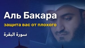 Аль Бакара Новинка 2025 очень красивое спокойное чтение корана.