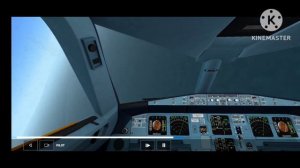 Катастрофа а321 над Синаем в Rfs (Рейс 9268) #9268