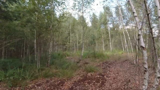 Мега велотур №8 2024: озеро Синее - д.Колодино, ч.8. Mega bike tou смотреть онлайн