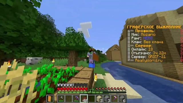 как удалить ПРИВАТ? | MINEKRAFT смотреть онлайн