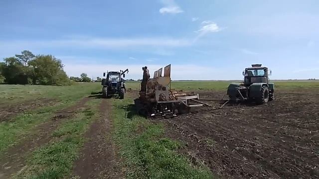 Антикризисный план: 5 кг рапса сеялками СЗП #17 Посевная продолжается