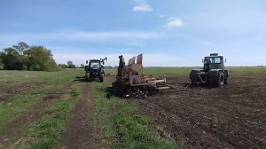 Антикризисный план: 5 кг рапса сеялками СЗП #17 Посевная продолжается