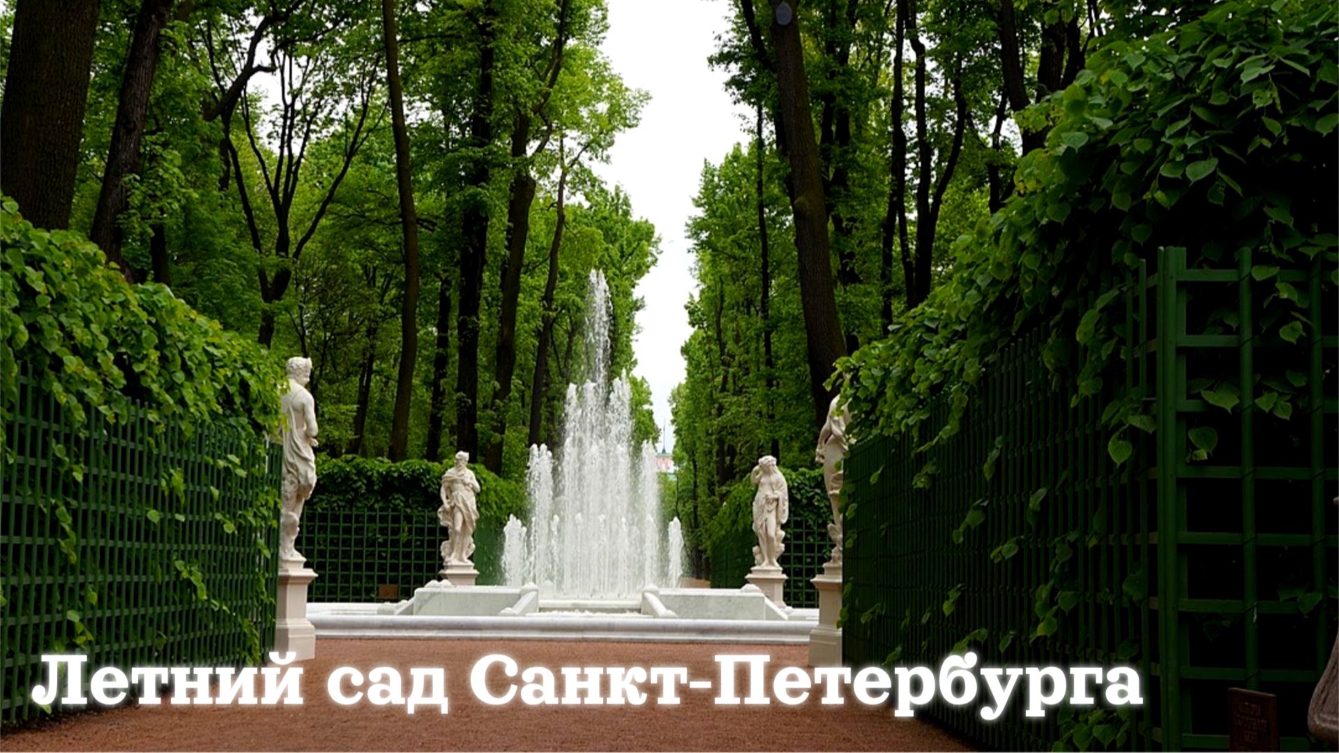 Летний сад Санкт-Петербурга / небольшая прогулка / Май 2025 / 4К смотреть онлайн