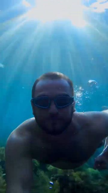 Подводный мир Чёрного Моря смотреть онлайн