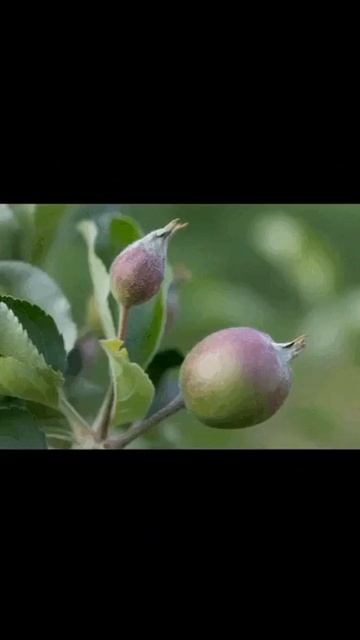 НАШЕ ДЕТСТВО 90-х смотреть онлайн