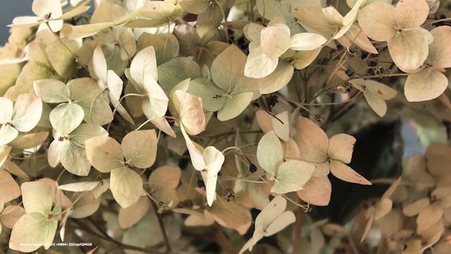 ВСЕ, ЧТО НУЖНО ЗНАТЬ ПРО HUAWEI MATE 70 PRO ЗА 4 МИНУТЫ: ТЕСТ КАМ