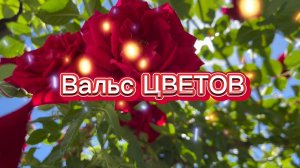 Вальс цветов, только розы