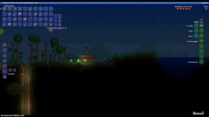 Дюп монет в террарие