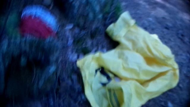 Отдыхаю на гамаке в лагере на Валдае и бормочу, 2024 год