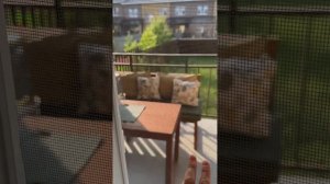 copy_DEC4A1C2-6D53-4DDD-BCE0-FA61EAA1DF24