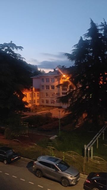 Шотландская вислоухая кошка Риана 09.06.2025.