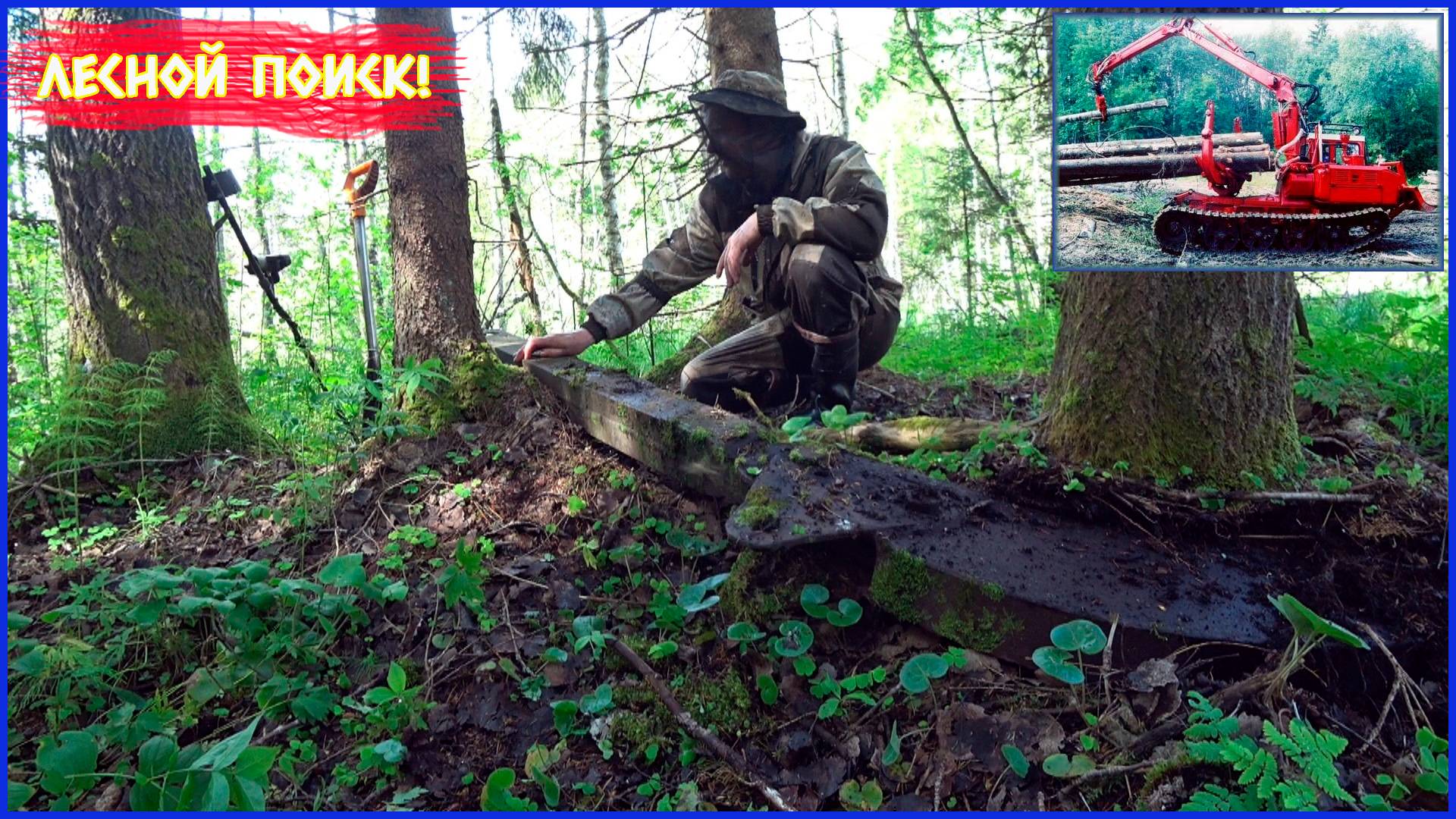 НОВЫЕ ТРОФЕИ!!! РЕДКИЕ НАХОДКИ В НАШИХ ЛЕСАХ!!! смотреть онлайн