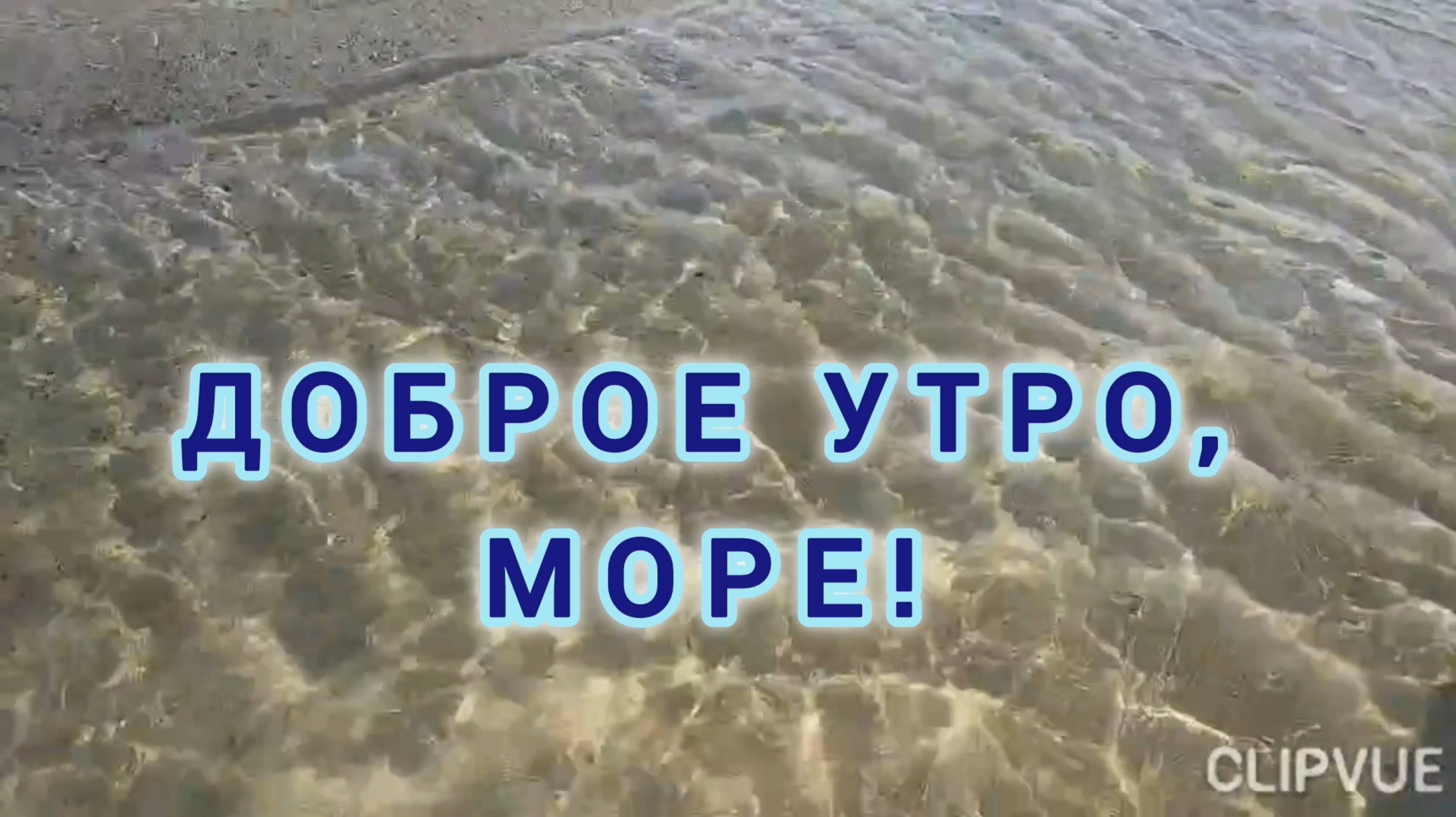 ЖИЗНЬ ИЗМЕРЯЕТСЯ РАССВЕТАМИ, А НЕ ЗАКАТАМИ! С ДОБРЫМ УТРОМ!