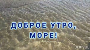 ЖИЗНЬ ИЗМЕРЯЕТСЯ РАССВЕТАМИ, А НЕ ЗАКАТАМИ! С ДОБРЫМ УТРОМ!