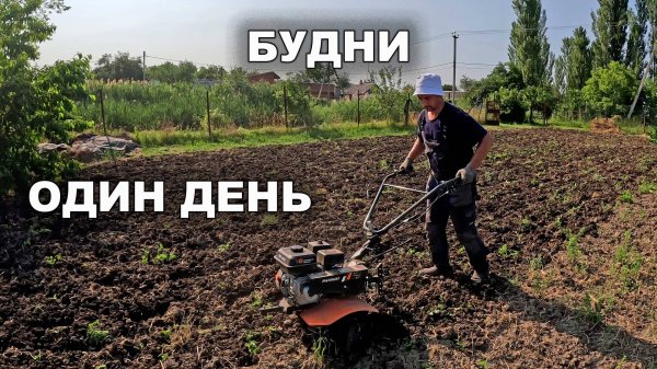 Один хороший день