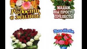 «ПРЕКРАСНЫМ ДАМАМ ТЁПЛЫЕ ПОЖЕЛАНИЯ»