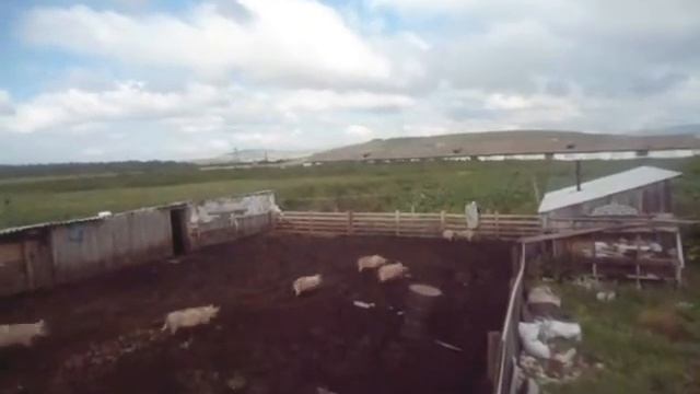 Сибирское село. Подсобное хозяйство.