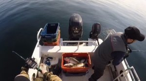 2 часть Рыбалки в Баренцевом море Цып наволок