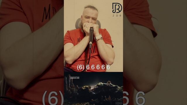 Boris Plotnikov - The Last of Us main theme (+tab) JDR Assassin harmonica cover смотреть онлайн