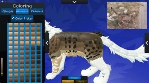 ДЕЛАЮ УЛИЧНЫХ КОТОВ ВО WC:UE! | Лота на скины?/Что делать с