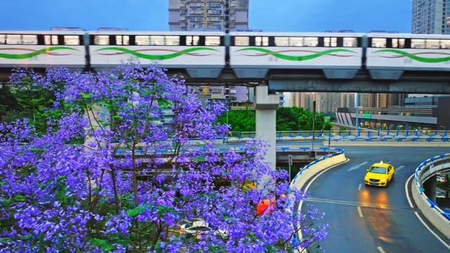 Современный китай. Фиолетовый смотреть онлайн