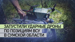 Эксклюзивные кадры работы операторов из отряда Гюнтера спецназа «Ахмат»