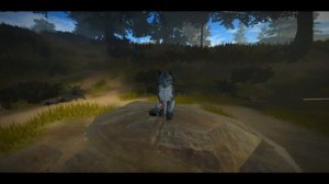 Помощь новичкам Котах~Воителях роблокс!Как охотиться?