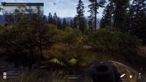 Way of the hunter - Охота на белохвостых оленей