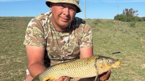 ЗДЕСЬ ЛОВЯТ САЗАНА И КАРАСЯ МЕШКАМИ! Поплавочная рыбалка на оросительном канале!