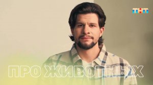 Что делать, если ваша кошка отказывается от еды?