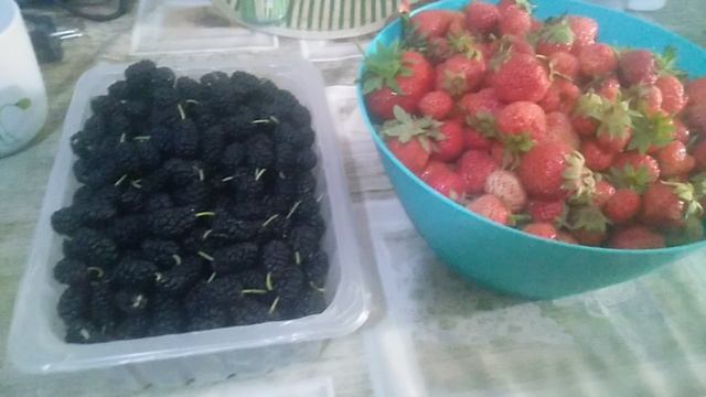 Клубника с тутовником