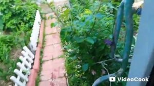 Готовим сани летом