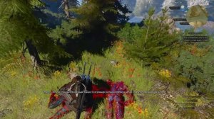 «Ведьмак 3» Каэр Морхен, как туда попасть? - 41