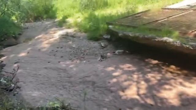 Ритм Шага: Меланхолия Дальних Дорог смотреть онлайн