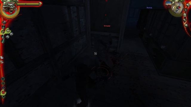 The Witcher Enhanced Edition || Первое прохождение || Часть 11 Ограбле