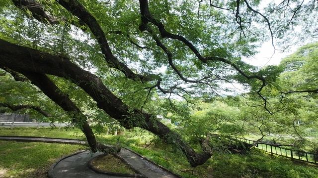 Достопримечательности Паттайя