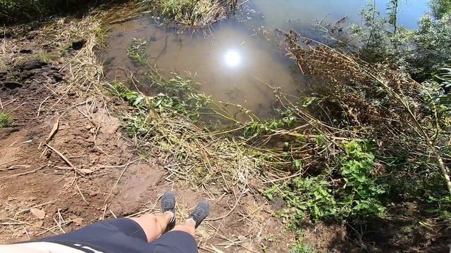 Велопутешествие по Алтайскому краю смотреть онлайн