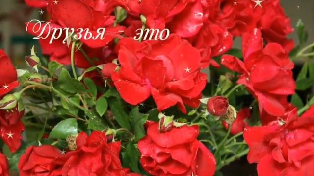 С ДНЁМ ДРУЗЕЙ! 🥰 Отличного настроения, крепкой дружбы! 🤝 смотреть онлайн