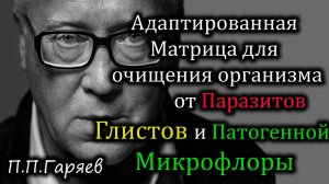 🧬 Оригинальная звуковая матрица П.П. Гаряева
🎯 Для очищения организма от паразитов, глистов